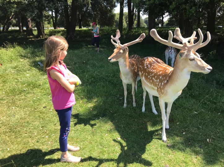 58E79D4B-FE87-4E4D-8258-45CBBD807841