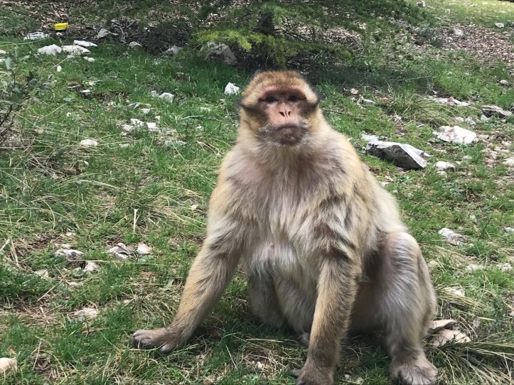 1D8C21D8-64DC-4590-BC78-15BDBD83079E