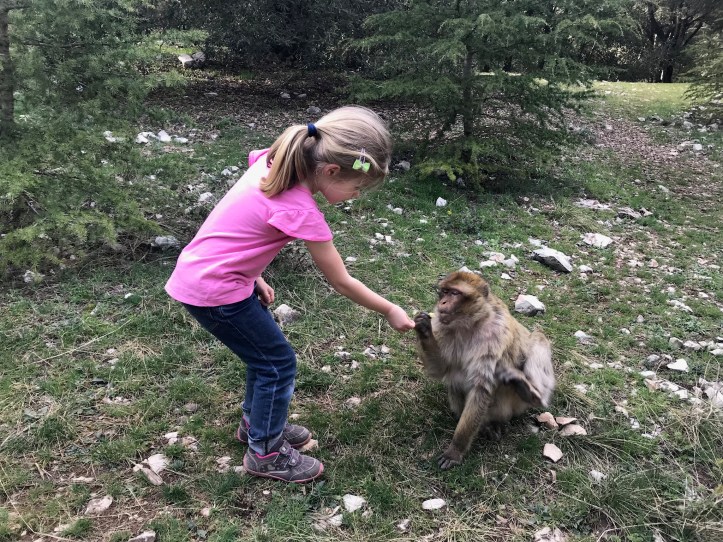 5BDE37B0-2617-4746-B912-84200BCCB1AF