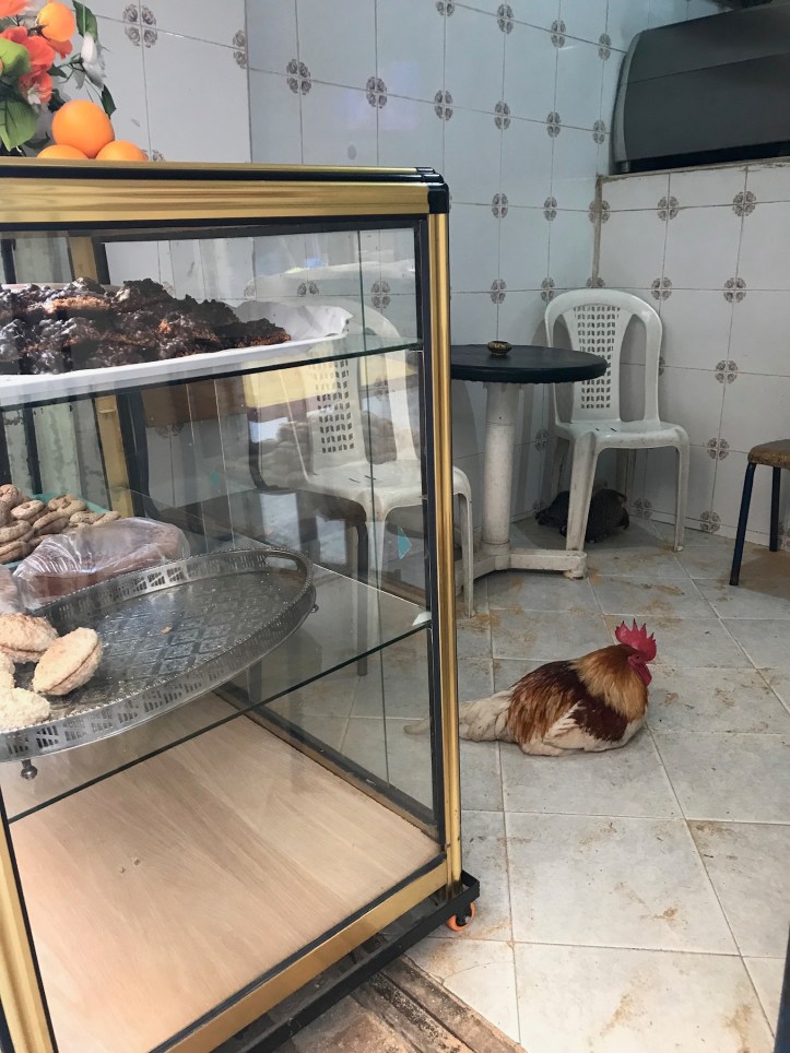 Gallina sdraiata in un negozio di dolci, Fes, Marocco