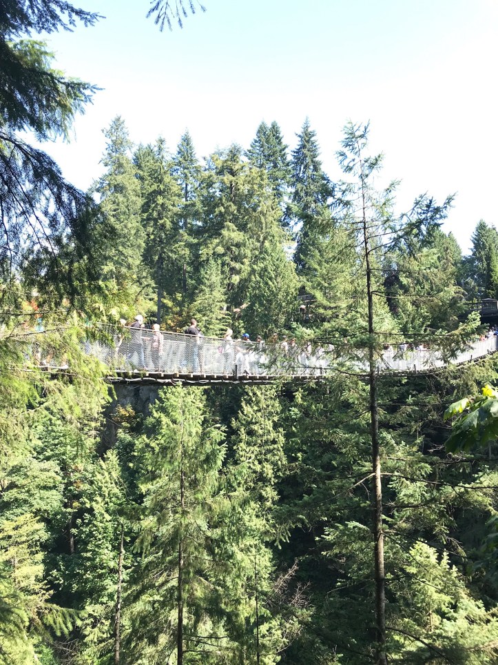 Ponte sospeso di Capilano, Nord Vancouver, Canada