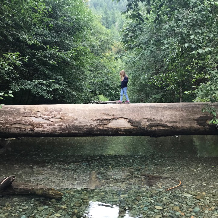 Bambina in equilibrio su un tronco d’albero, Vancouver Island, Canada