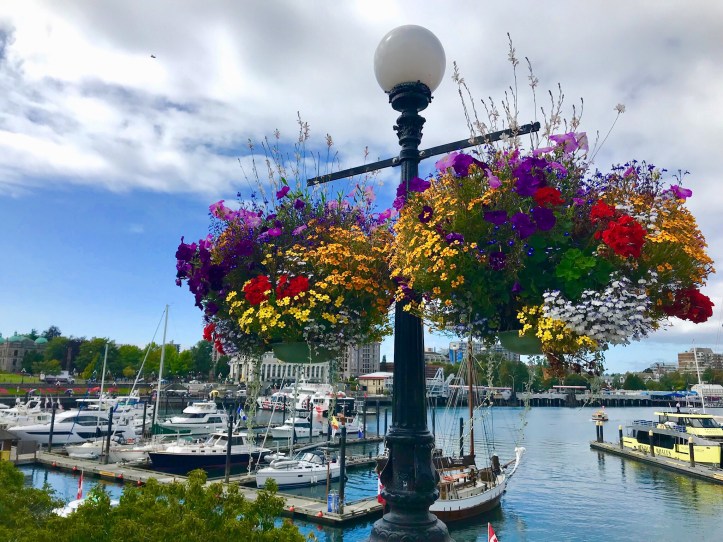 Porticciolo di Victoria, British Columbia, Canada