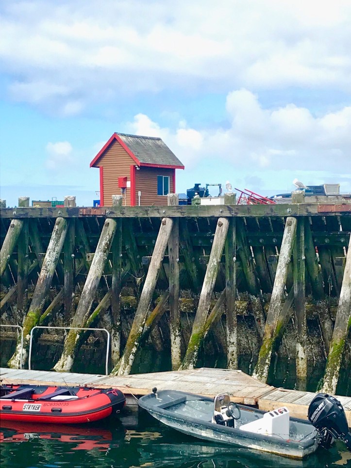 Porticciolo di Tofino da dove parte il Bear Safari 
