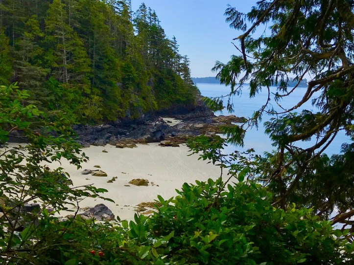 Spiaggia isolata vicino a un sentiero trekking. Tofino, Canada