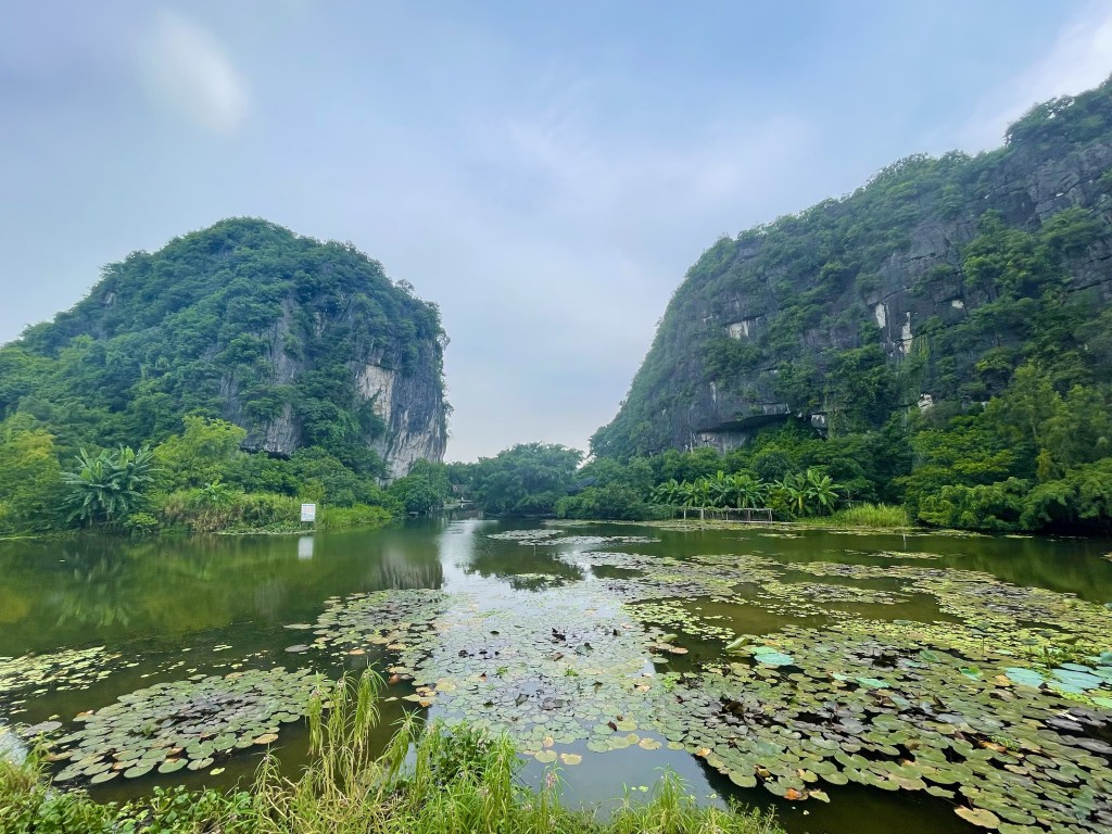 Lago con ninfee e montagne carsiche, Ninh Binh in Vietnam 