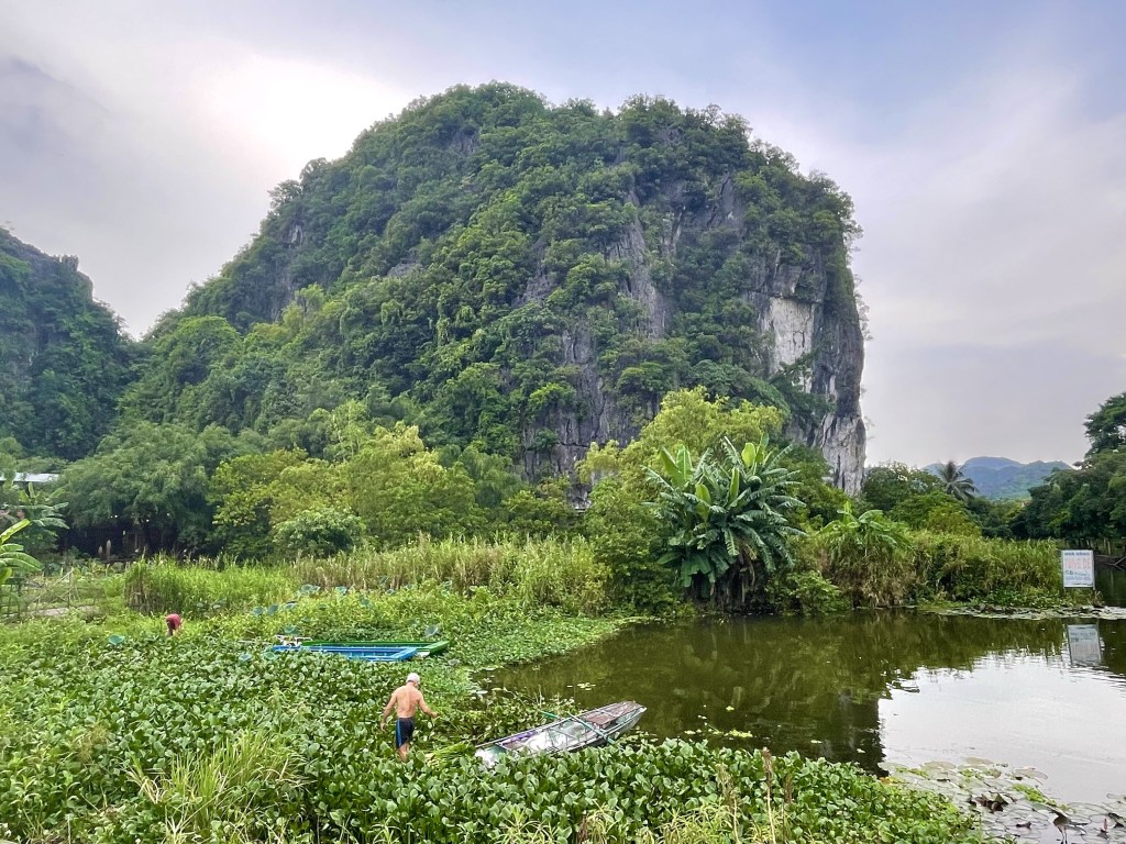 Uomo raccoglie fiori di loto a Tam Coc Vietnam 