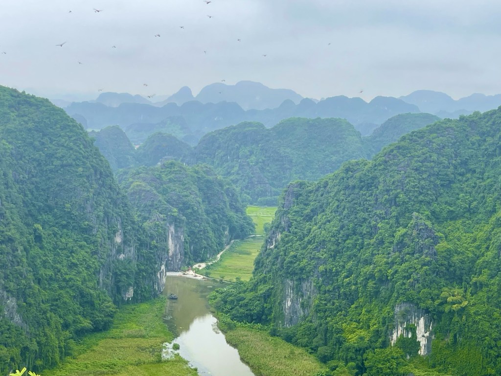 Vista dall’alto della Mua Cave a Tam Coc, montagne carsiche viste dall’alto 