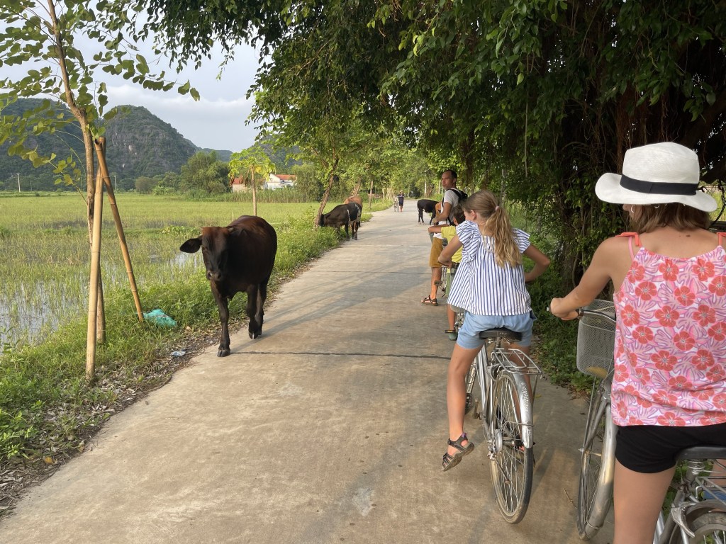 Con i bambini in bicicletta per le strade di Ninh Binh 